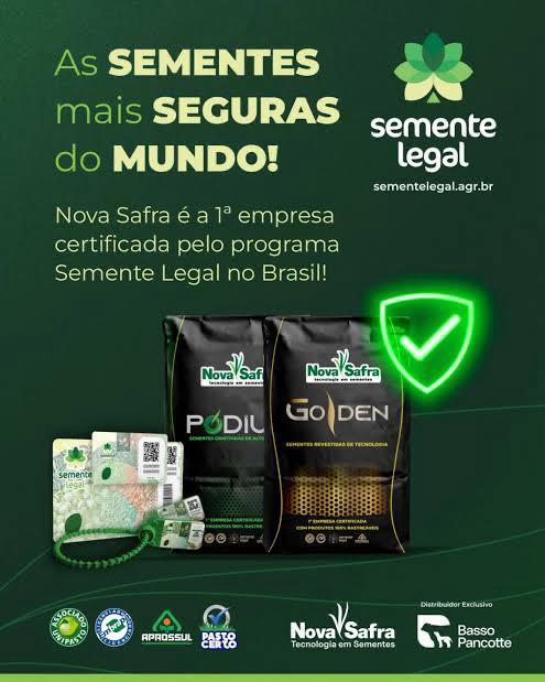 SEMENTES NOVA SAFRA